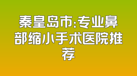 秦皇岛市：专业鼻部缩小手术医院推荐