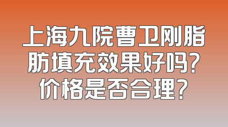 上海九院曹卫刚脂肪填充效果好吗？价格是否合理？