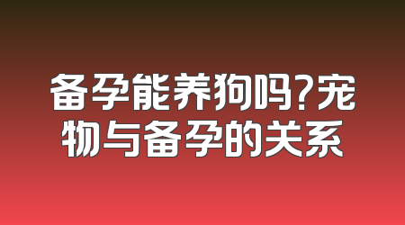 备孕能养狗吗？宠物与备孕的关系