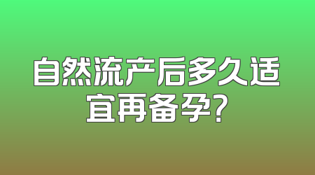 自然流产后多久适宜再备孕？