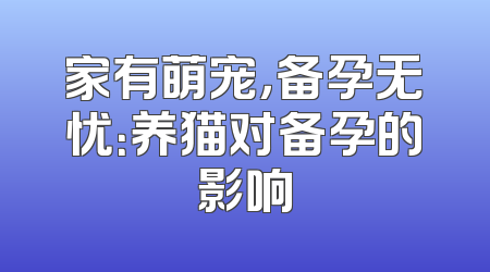 家有萌宠，备孕无忧：养猫对备孕的影响