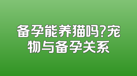 备孕能养猫吗？宠物与备孕关系
